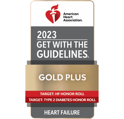 2023 American Heart Association Get with the Guidelines Stroke Badge