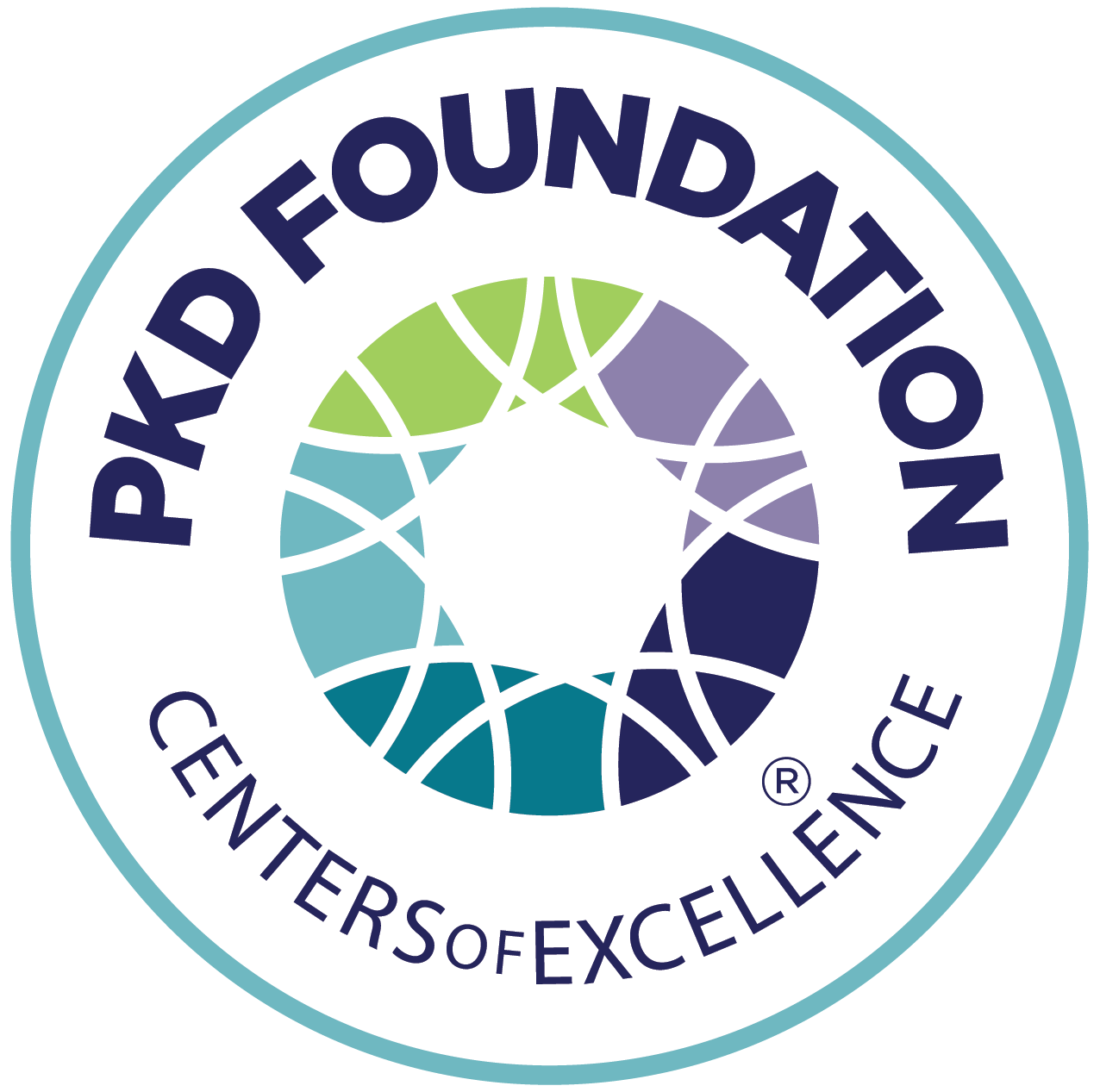 The PKD Foundation Centers of Excellence logo