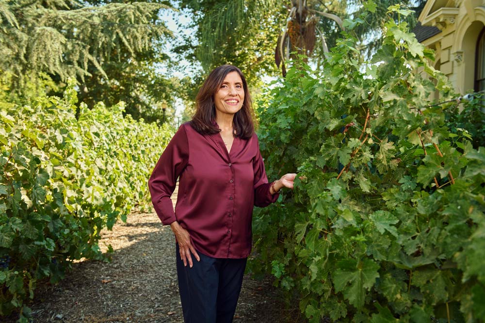 Claudia Gonzales, a darkhaired woman in a merlot-colored blouse, holds grapes in a vineyard