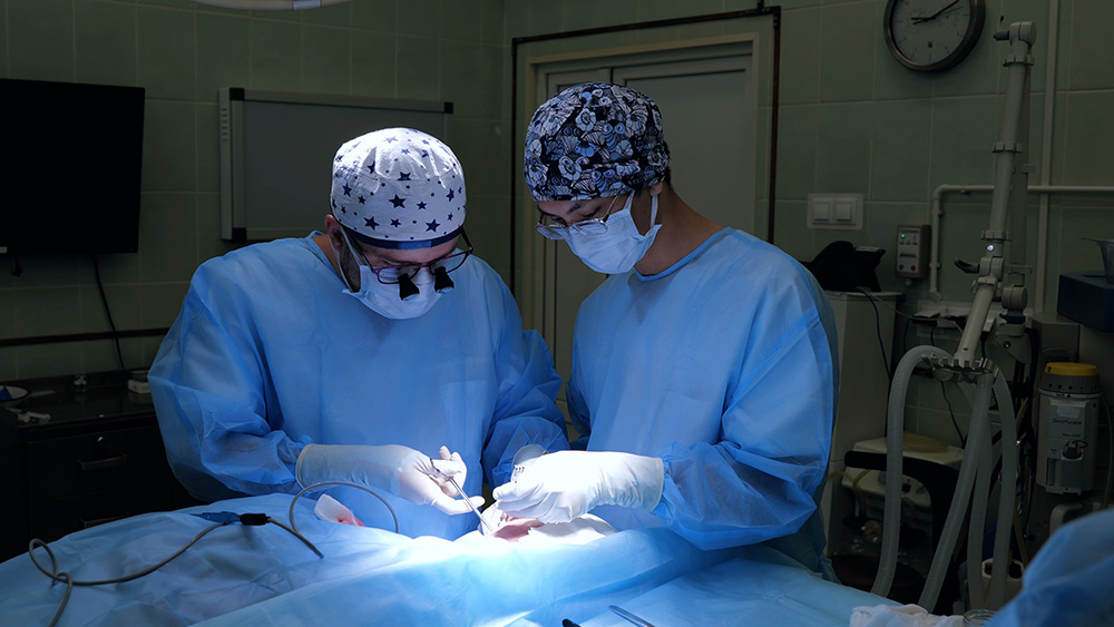 A team of surgeons perform facial nerve repair surgery in the OR.