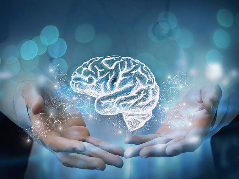 Brain Health Forum: Aging Brain, Memory Supplements and Research